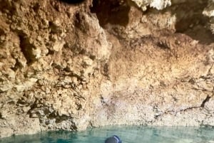 Zanzibar Kizimkazi Secret Cave svømmetur med havskilpadder