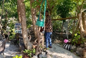 Zanzibar Kizimkazi Secret Cave svømmetur med havskilpadder