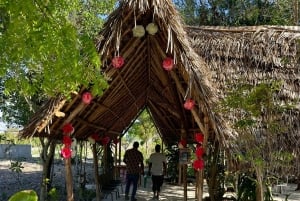 Zanzibar Kizimkazi Secret Cave svømmetur med havskilpadder