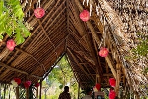 Zanzibar Kizimkazi Secret Cave svømmetur med havskilpadder