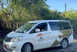 Zanzibar Kizimkazi Secret Cave svømmetur med havskilpadder