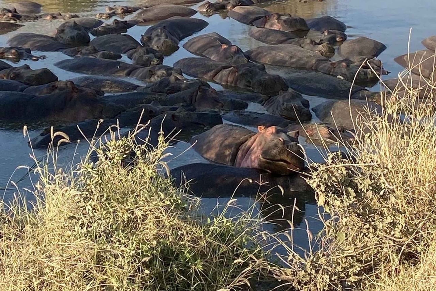 Zanzibar: Lake Manyara Safari & Culture Explore with Flight