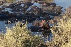 Zanzibar: Lake Manyara Safari & Culture Explore with Flight