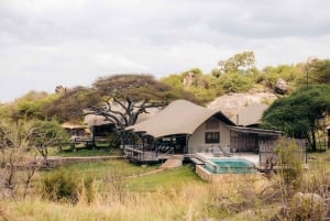 Zanzibar: Lake Manyara Safari & Culture Explore with Flight