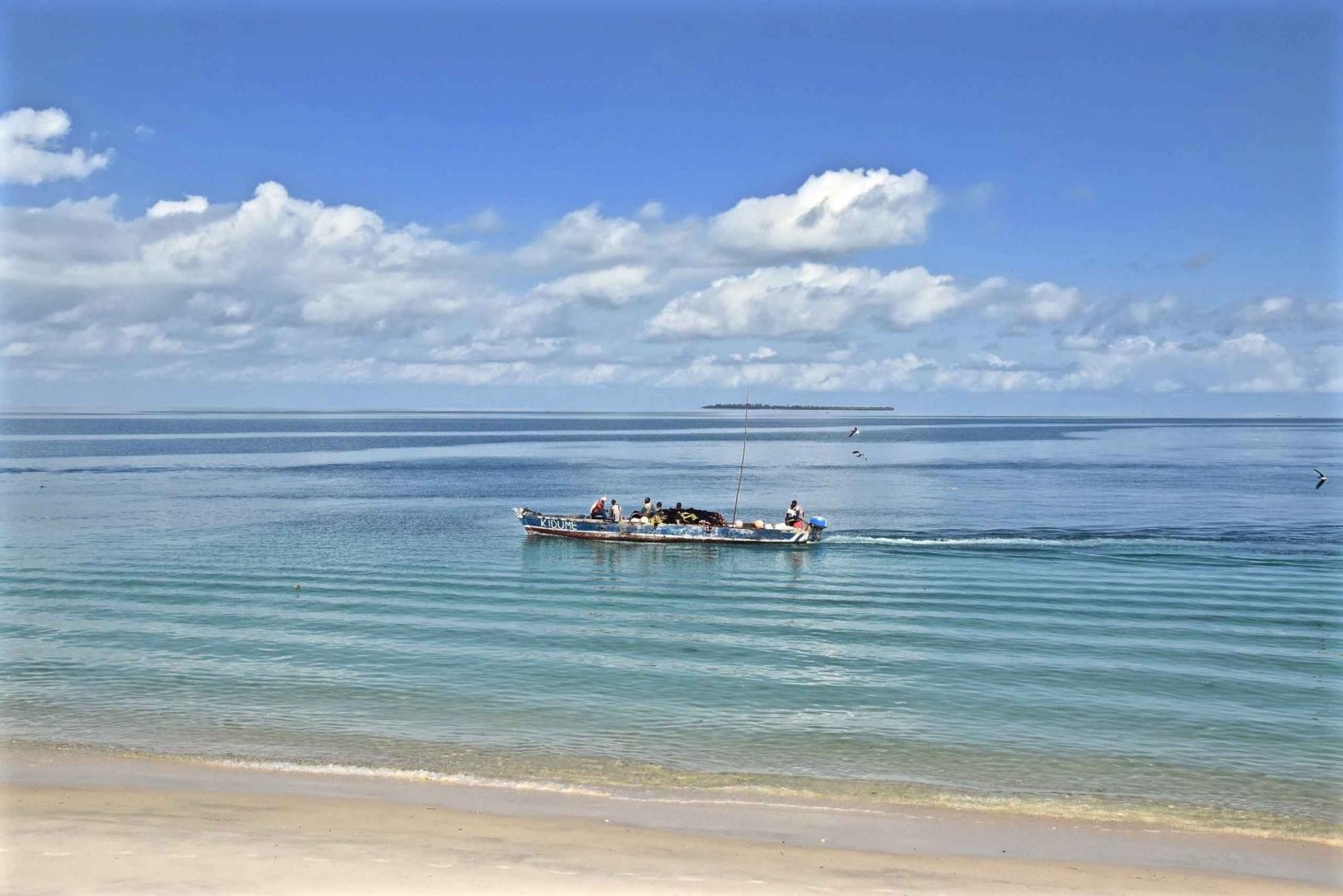 Zanzibar: Local Fishing adventure with Hotel transfer