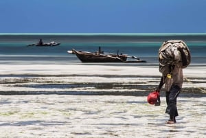 Zanzibar: Local Fishing adventure with Hotel transfer