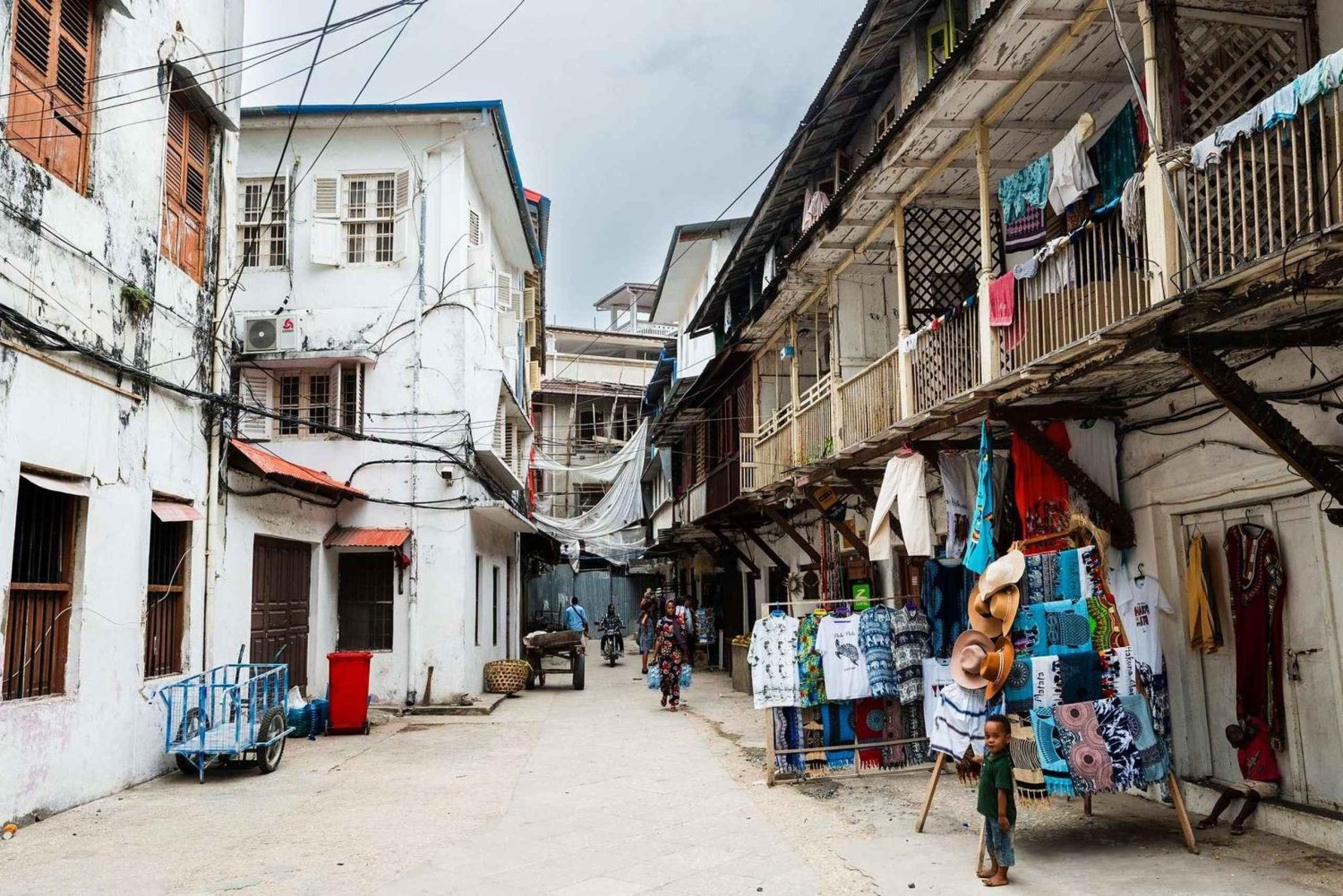 Zanzibar: Besök i lokal by och guidad tur i Stone Town