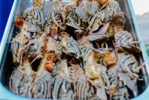 ザンジバル：ラグジュアリー・サファリ・ブルー1日ツアーをお楽しみください