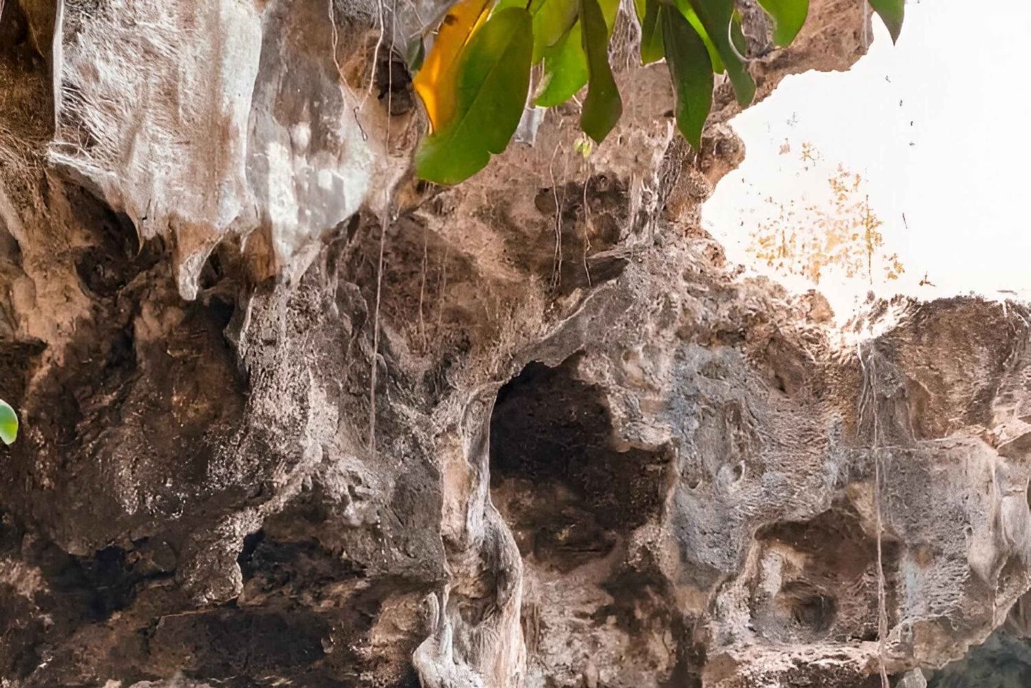 Zanzíbar: Excursión a la Piscina Natural de la Cueva de Maalum en Paje