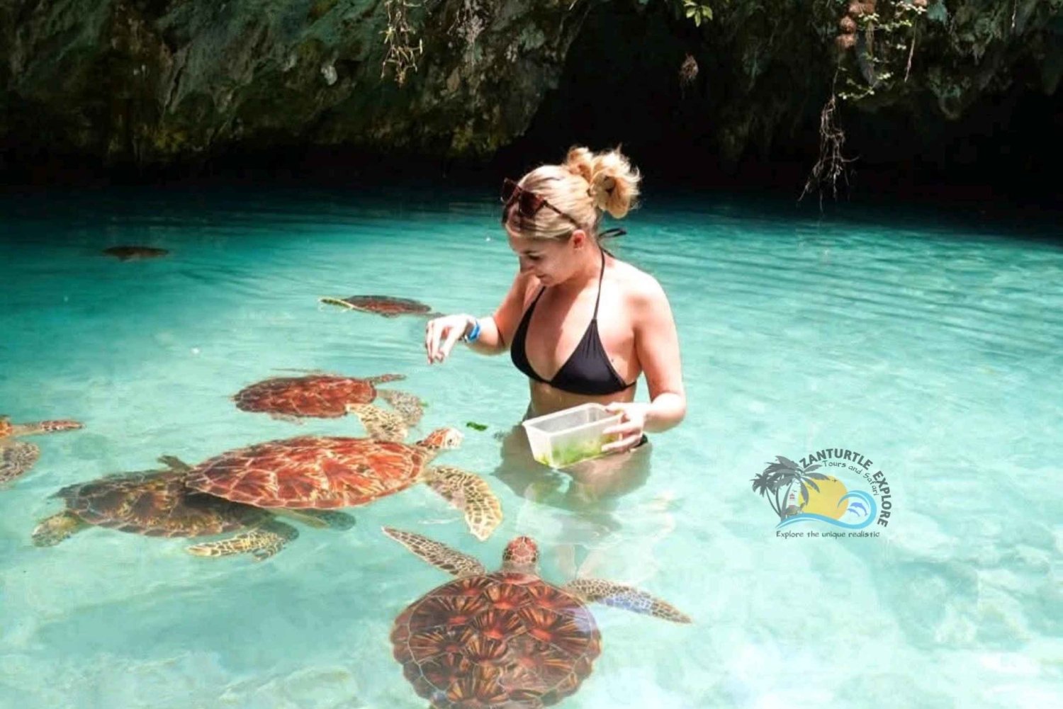 Zanzibar : culture masaï, forêt de Jozani et tortues de la grotte de Salaam