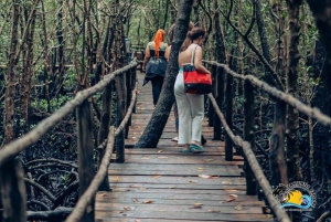 Zanzibar: kultura Masajów, las Jozani i żółwie w jaskini Salaam
