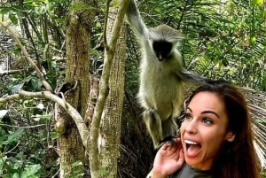 Zanzibar: kultura Masajów, las Jozani i żółwie w jaskini Salaam