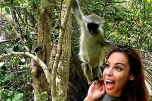 Zanzibar: kultura Masajów, las Jozani i żółwie w jaskini Salaam