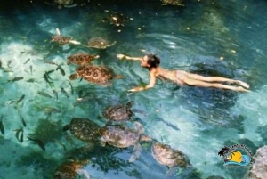 Zanzibar: Maasai-kultur og Baraka-akvarium med skilpadder