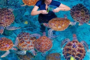 Zanzíbar: tour de la cultura masái y acuario de tortugas en la cueva de Salaam