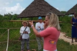 Занзибар: экскурсия по деревне масаев и историческому Каменному городу