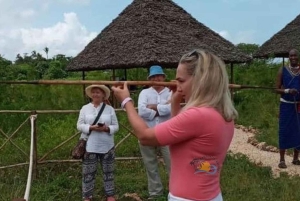 Sansibar: Maasai-kulttuurikylä ja historiallinen kiviäkaupunkikierros
