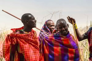 Zanzibar: Maasai-dorpservaring met dans en ambachten