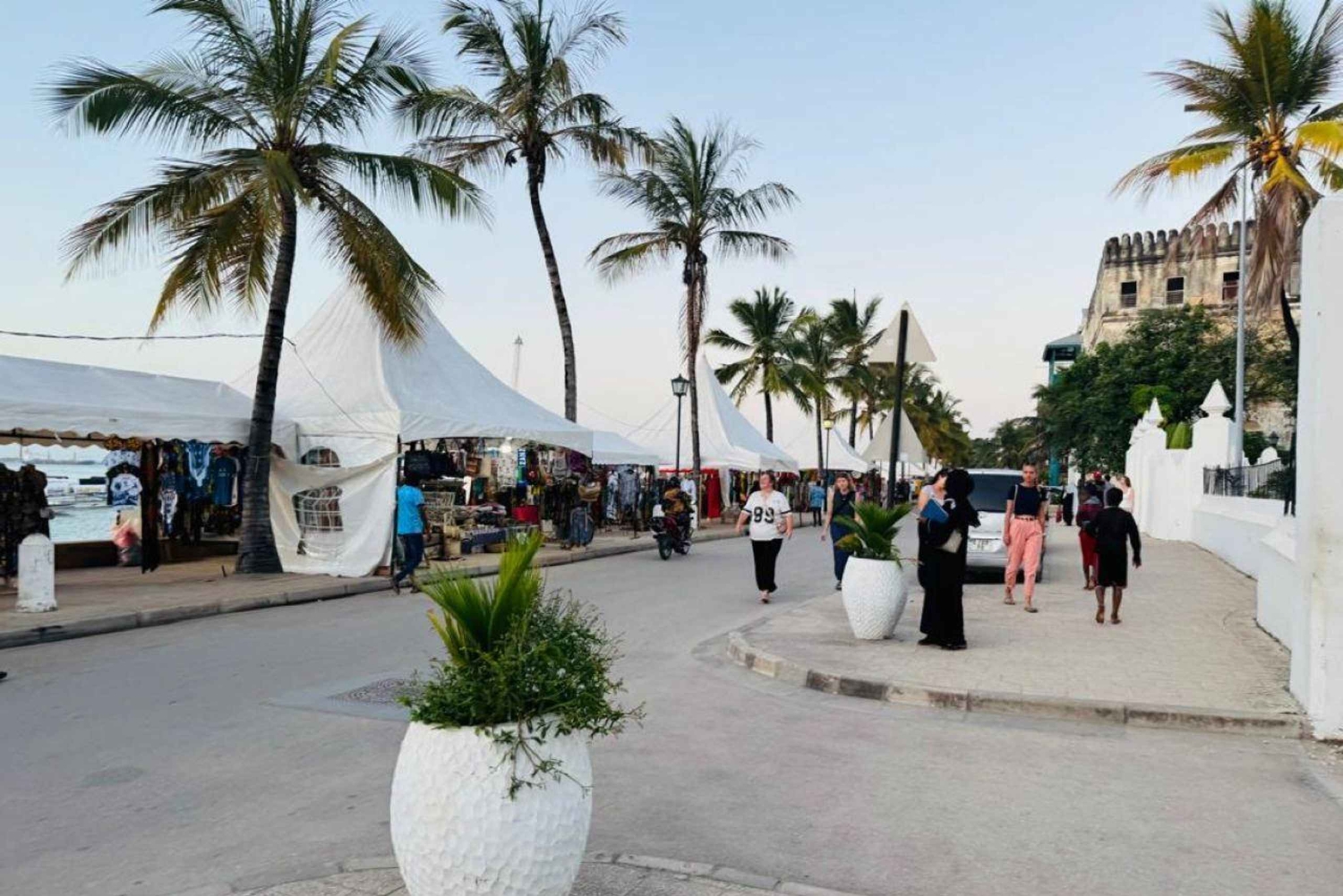 ザンジバル：マサイ村とストーンタウンのプライベートツアーをご覧ください