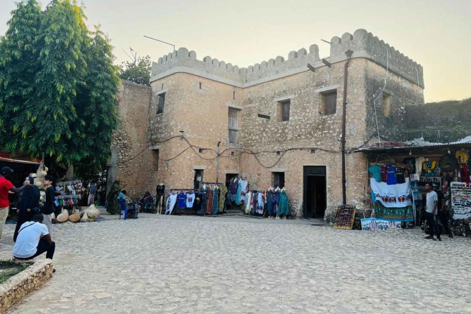 ザンジバル：マサイ村とストーンタウンのプライベートツアーをご覧ください