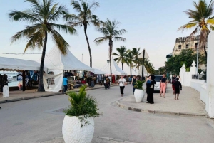 ザンジバル：マサイ村とストーンタウンのプライベートツアーをご覧ください