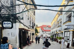 ザンジバル：マサイ村とストーンタウンのプライベートツアーをご覧ください