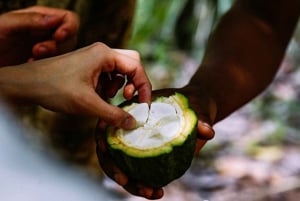 ZANZIBAR: villaggio Masai, nuoto con le tartarughe marine e fattoria delle spezie