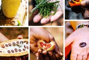 ZANZIBAR: villaggio Masai, nuoto con le tartarughe marine e fattoria delle spezie