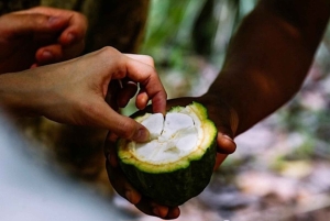 ZANZIBAR: Maasai Village, Swim with Sea Turtles & Spice Farm