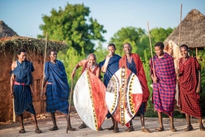 ZANZIBAR: Maasai Village, Swim with Sea Turtles & Spice Farm