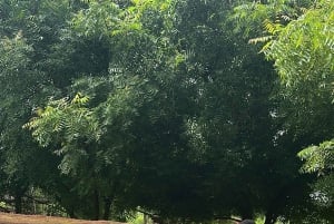 Zanzibar: passeio pela aldeia Maasai e visita à gruta de Fukuchani