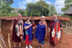 Занзибар: экскурсия по деревне масаев и знакомство с черепахами