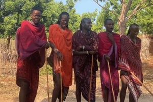 Занзибар: экскурсия по деревне масаев и знакомство с черепахами