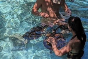 Занзибар: экскурсия по деревне масаев и знакомство с черепахами