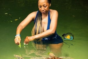 Sansibar: Maasai-kyläretki ja uiminen kilpikonnien kanssa laguuneissa