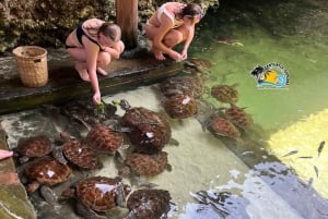 Sansibar: Maasai-kyläretki ja uiminen kilpikonnien kanssa laguuneissa