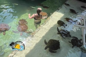 Sansibar: Maasai-kyläretki ja uiminen kilpikonnien kanssa laguuneissa