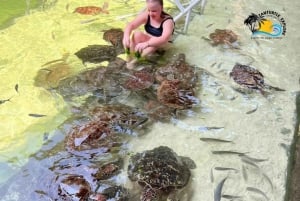 Sansibar: Maasai-kyläretki ja uiminen kilpikonnien kanssa laguuneissa