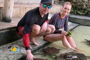 Sansibar: Maasai-kyläretki ja uiminen kilpikonnien kanssa laguuneissa