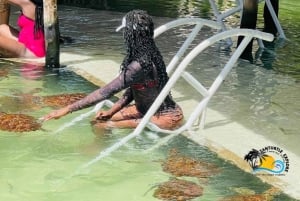 Sansibar: Maasai-kyläretki ja uiminen kilpikonnien kanssa laguuneissa