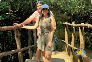 Zanzibar: Mundo Maasai, Floresta Jozani e Restaurante The Rock