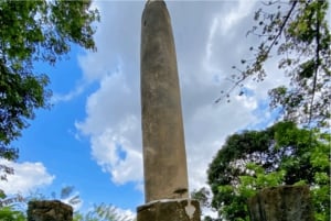 Zanzibar: Magic Tower-tur, krydderfarm og Jozani-skogen