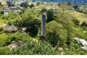 Zanzibar: Magic Tower-tur, krydderfarm og Jozani-skogen