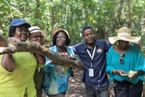 Zanzibar: Magic Tower-tur, krydderfarm og Jozani-skogen