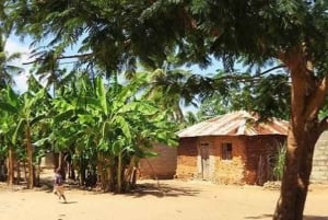 Zanzibar: Makunduchi Village Tour with Lunch