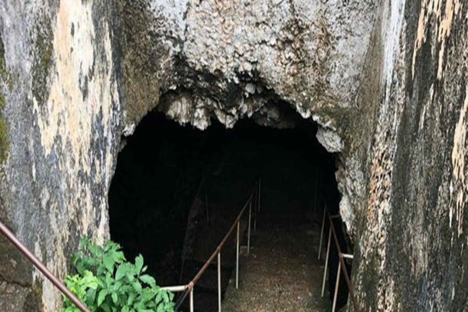 Ultimate Zanzibar: Masingini Zipline og Stone Town dagstur