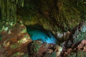 Ultimate Zanzibar: Masingini Zipline og Stone Town dagstur