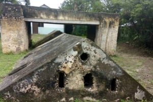 Zanzibar: mergulho com snorkel na Lagoa Azul com passeio para ver estrelas-do-mar