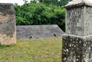 Zanzibar: mergulho com snorkel na Lagoa Azul com passeio para ver estrelas-do-mar
