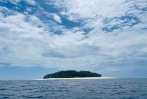 Zanzibar: Mangrovemetsän ekokajakkimelontaretki